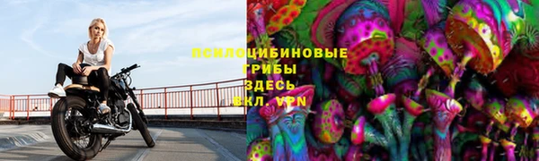 трава Магас