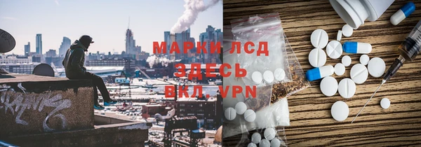 трава Магас