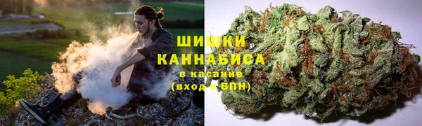 трава Магас
