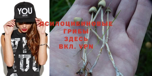 трава Майский