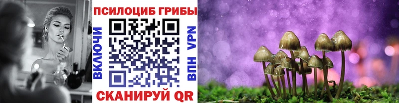 Галлюциногенные грибы ЛСД  купить закладку  Ярославль 