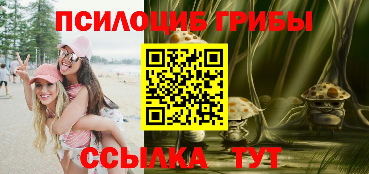 Псилоцибиновые грибы Psilocybe Ярославль
